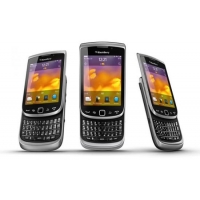 Sell my Torch (9810)