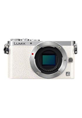 Sell my Lumix Dmc GM1 Body Only